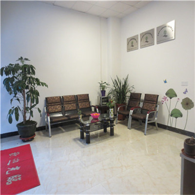 河源電梯口花卉租擺養護 一站式綠植后期服務與批發設計解決方案